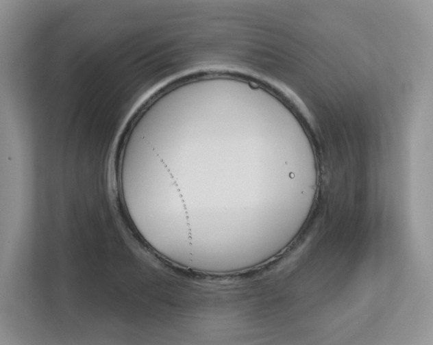 X0000112760887200908201031