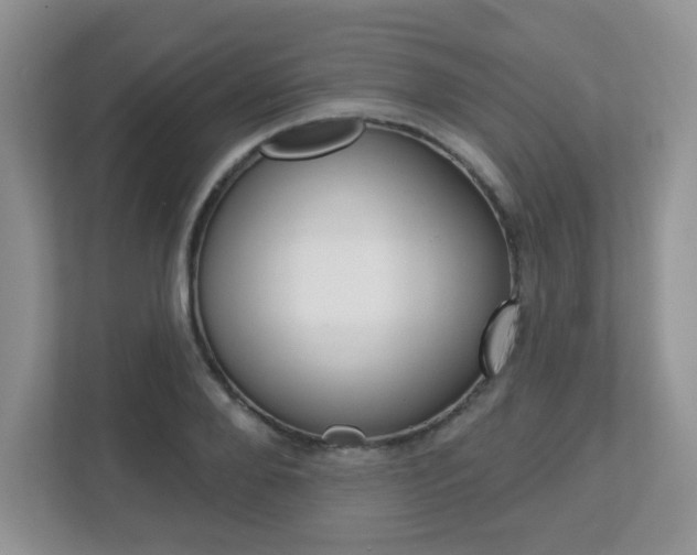 X0000112760888200908201031