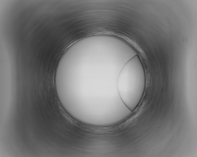 X0000112760889200908201031