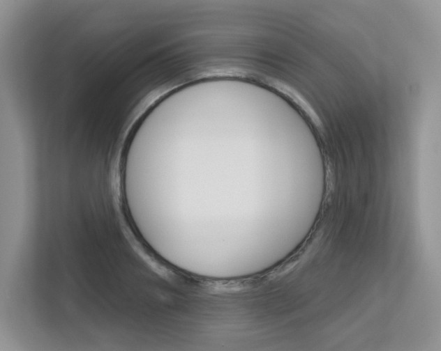 X0000112760890200908201031