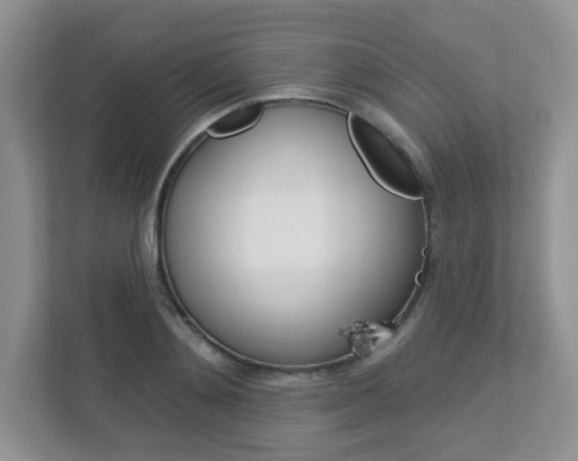 X0000112760892200908201031