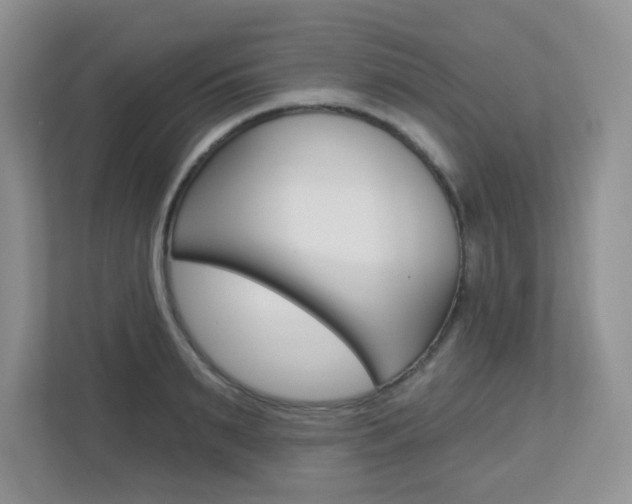 X0000112760895200908201031