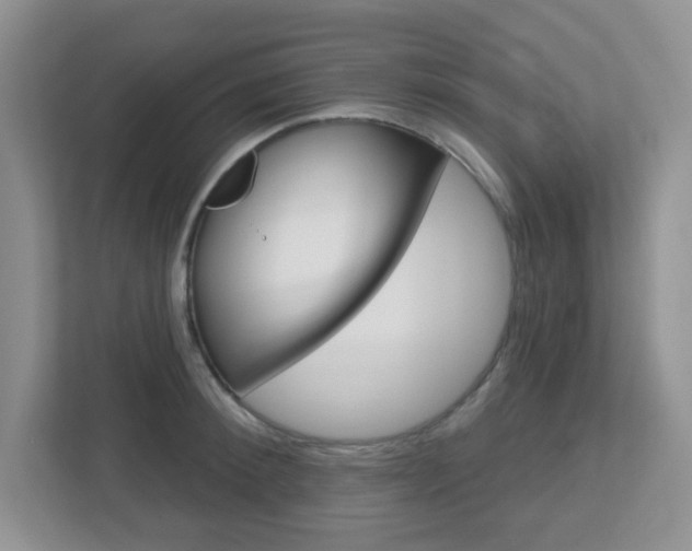 X0000112760900200908201031