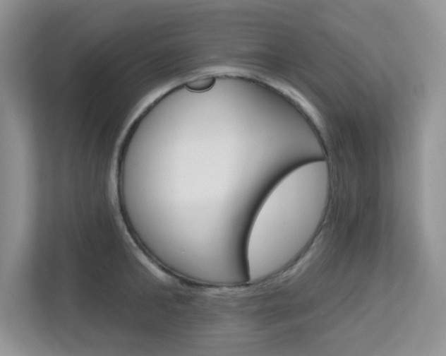 X0000112760902200908201031