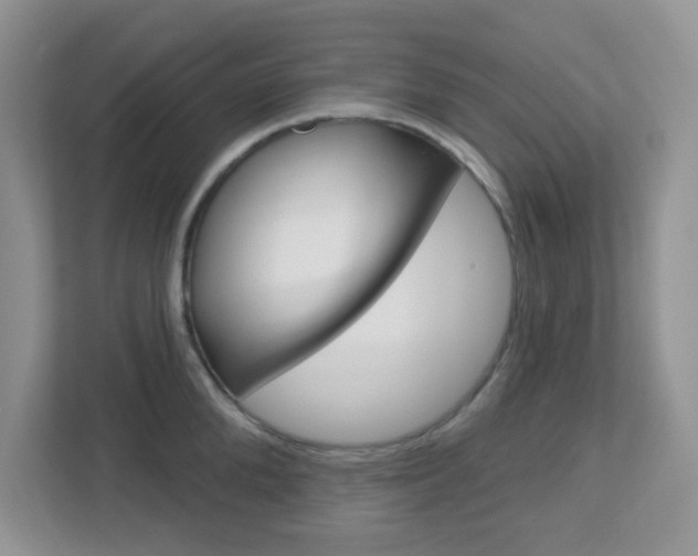X0000112760904200908201031