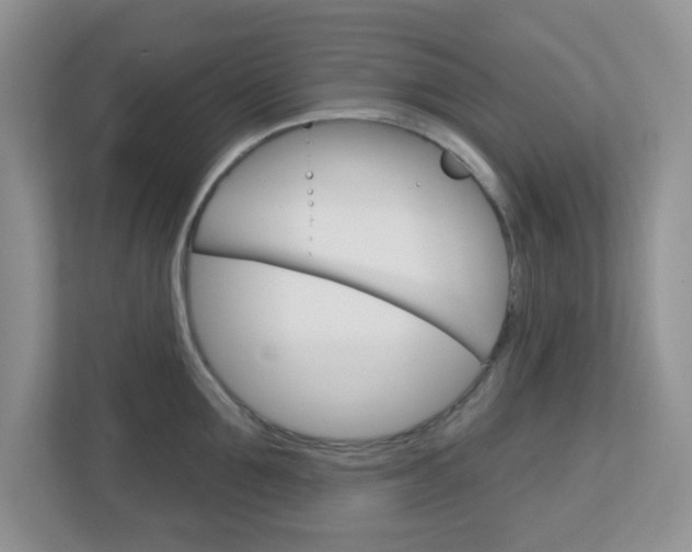 X0000112760907200908201031