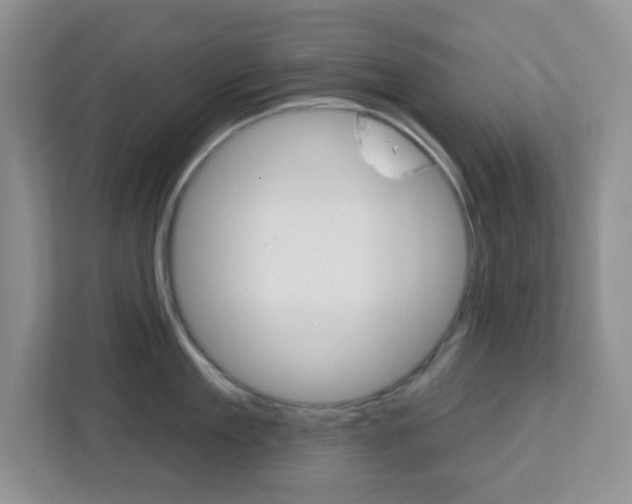 X0000112760909200908201031