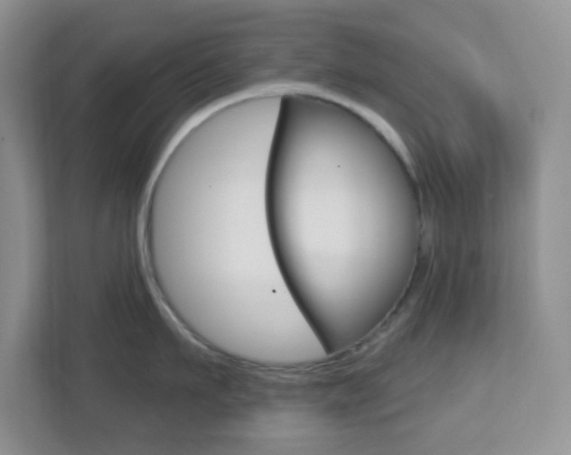 X0000112760911200908201031