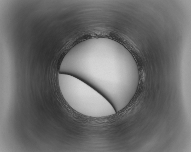 X0000112760915200908201030