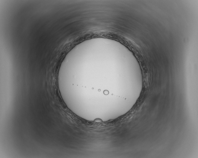 X0000112760917200908201030
