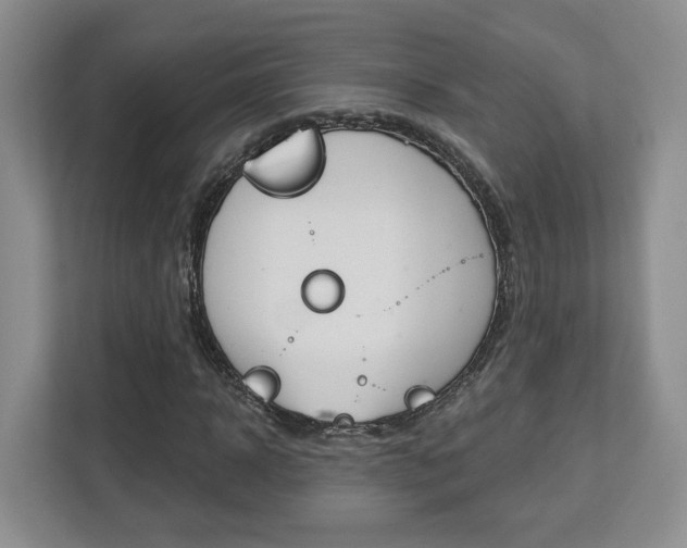 X0000112760918200908201030