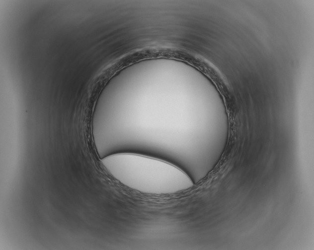 X0000112760919200908201030