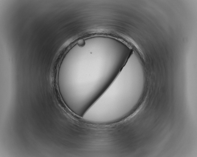 X0000112760922200908201030