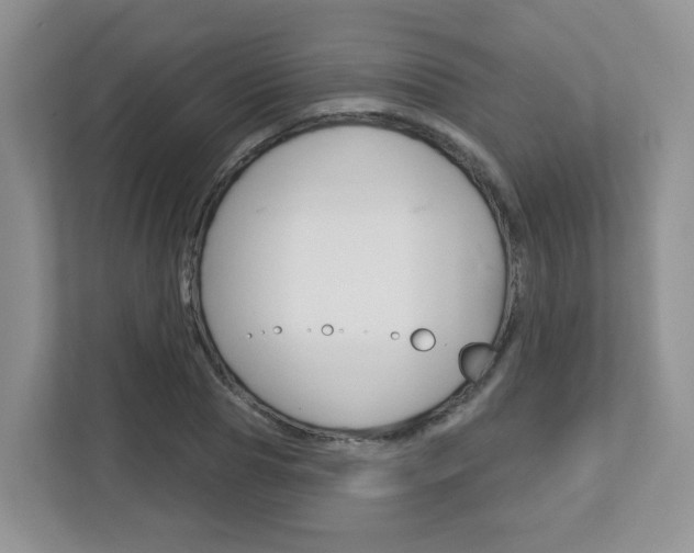 X0000112760929200908201030