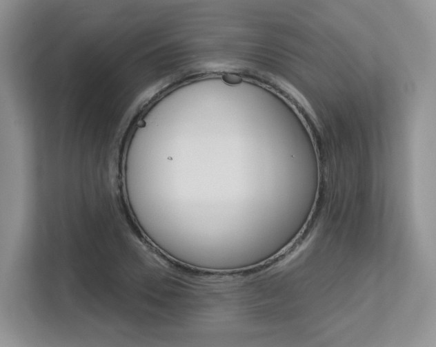 X0000112760930200908201030