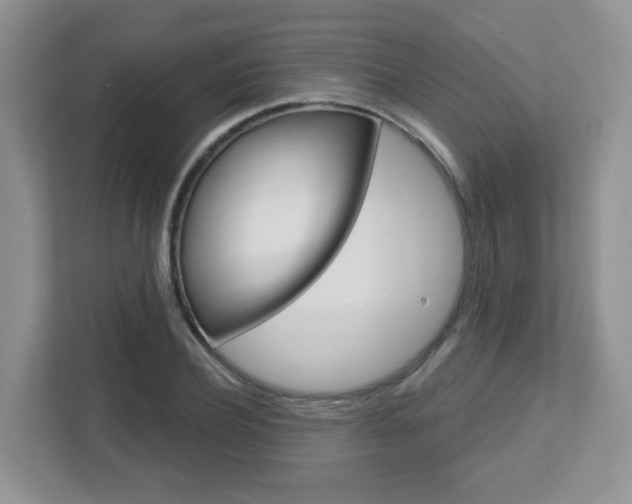 X0000112760932200908201030