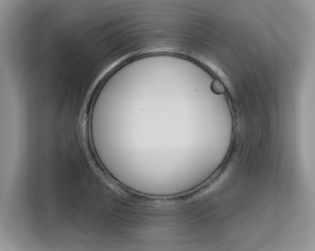 X0000112760933200908201030