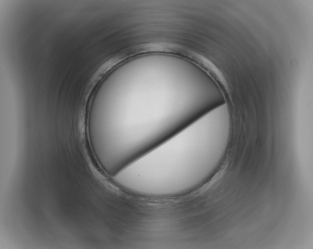 X0000112760938200908201030