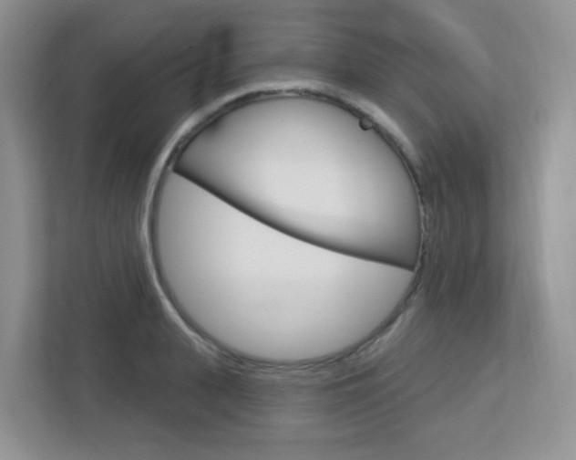X0000112760943200908201031