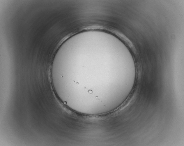 X0000112760945200908201031