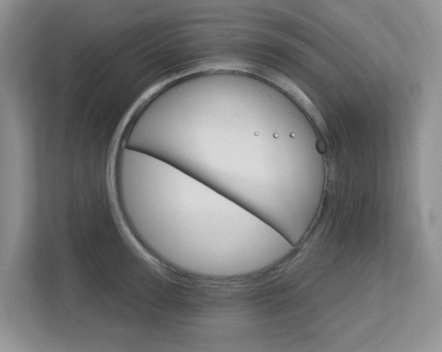 X0000112760947200908201031