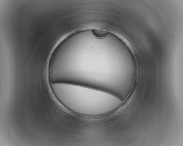X0000112760949200908201031