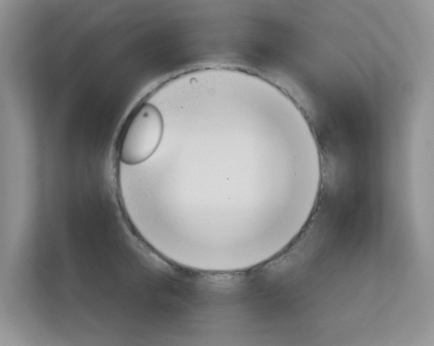 X0000112760950200908201031