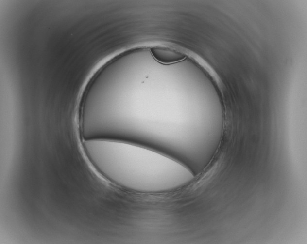 X0000112760951200908201031