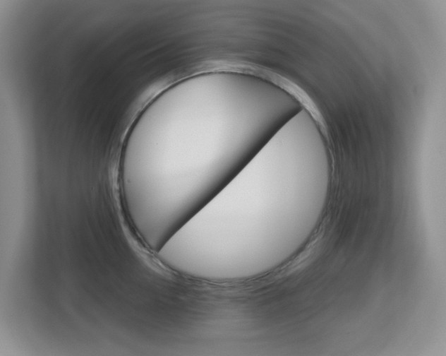 X0000112760954200908201031