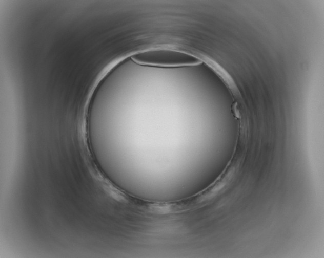 X0000112760956200908201031