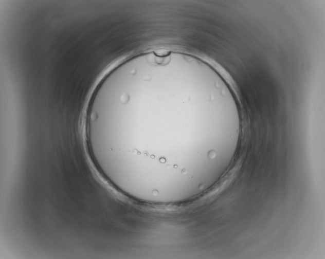 X0000112760957200908201031