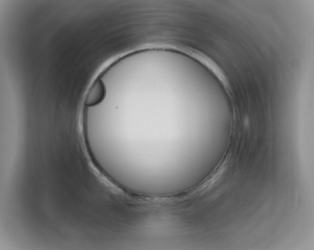 X0000112760958200908201031