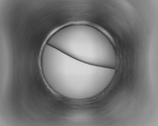 X0000112760959200908201031