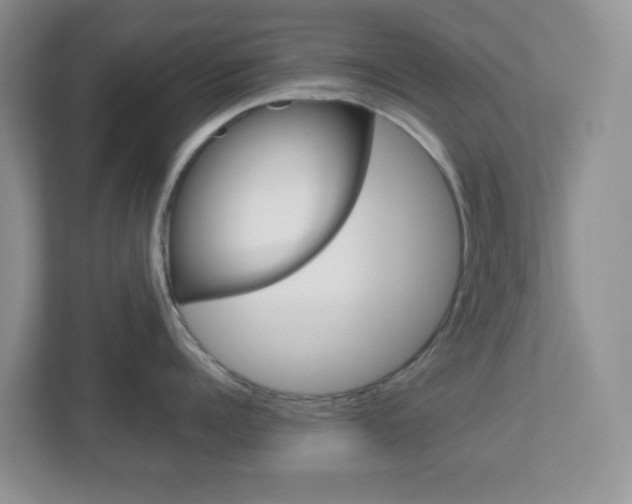 X0000112760960200908201031