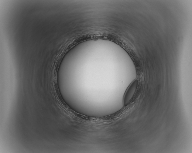 X0000112760961200908201030