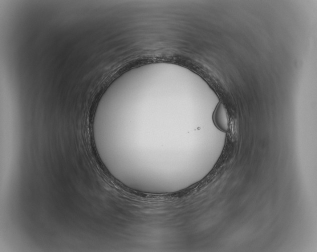 X0000112760963200908201030