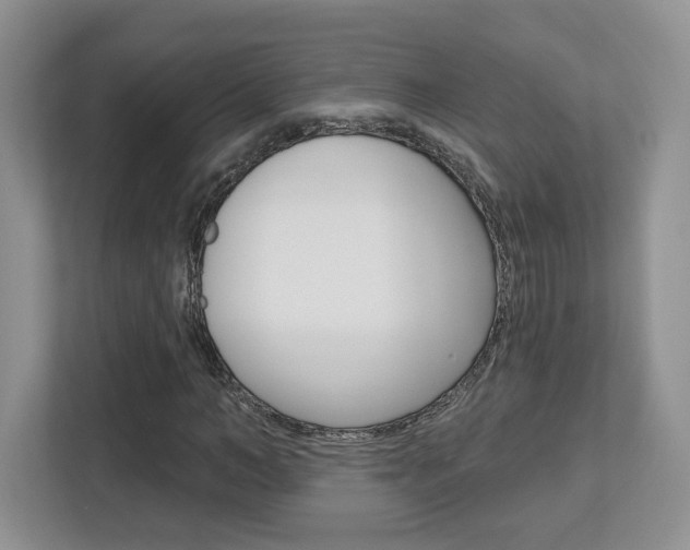 X0000112760966200908201030