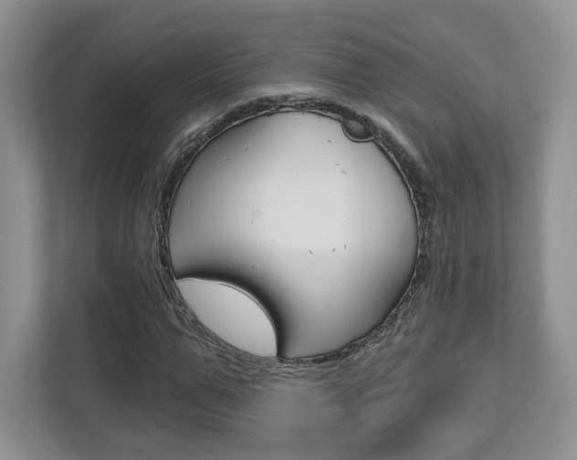 X0000112760967200908201030