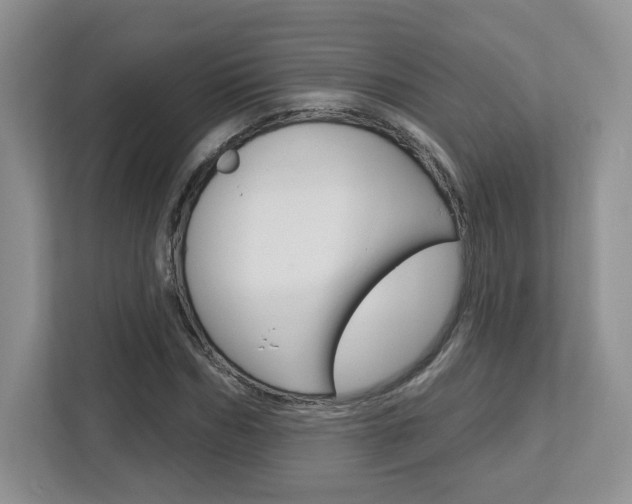 X0000112760970200908201030