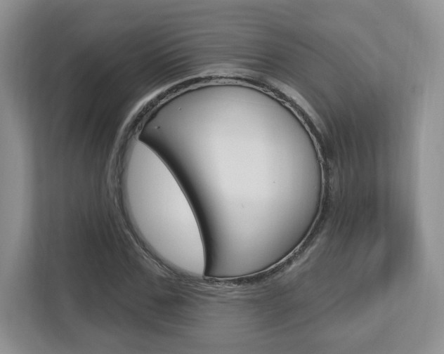 X0000112760971200908201030