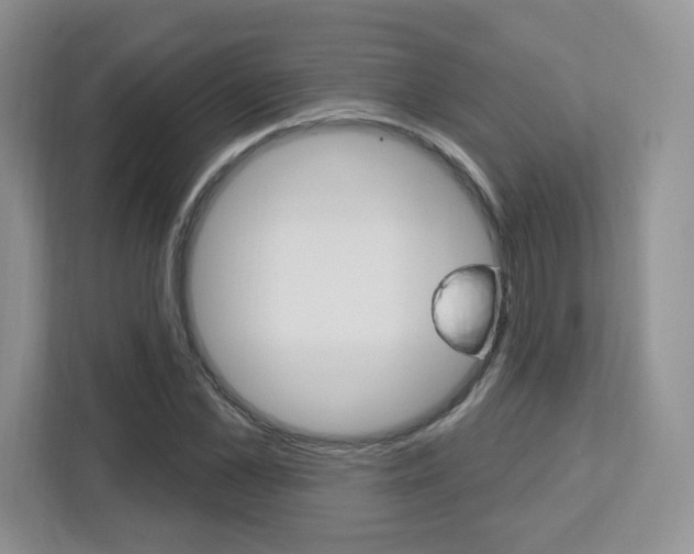 X0000112760973200908201030