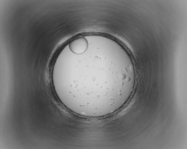 X0000112760974200908201030