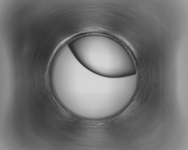 X0000112760975200908201030