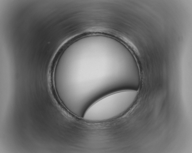 X0000112760976200908201030