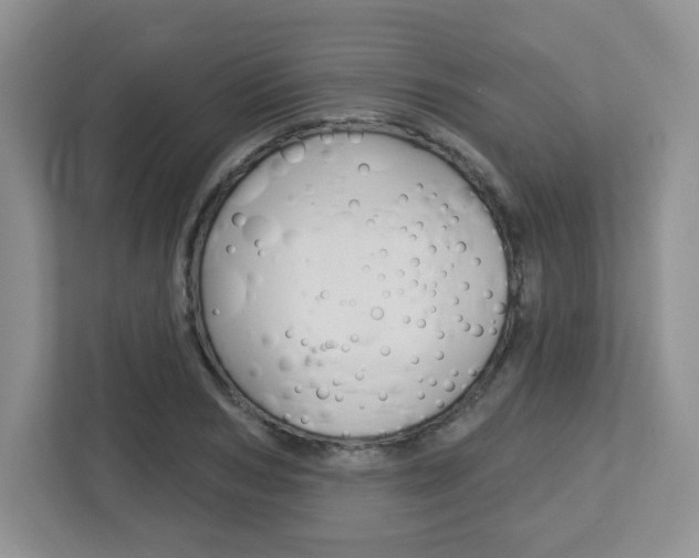 X0000112760978200908201030