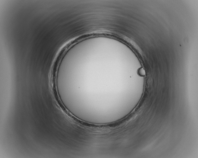 X0000112760979200908201030