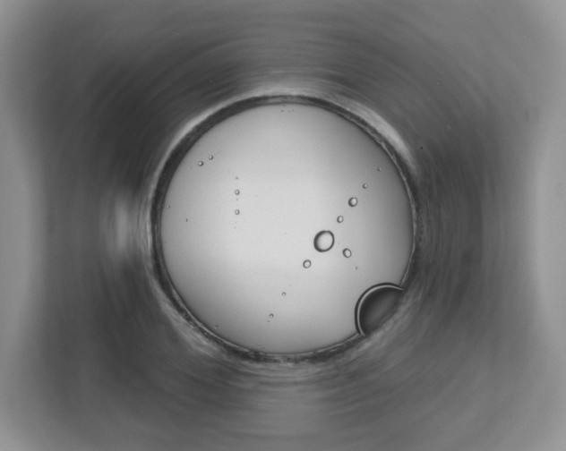 X0000112760980200908201030