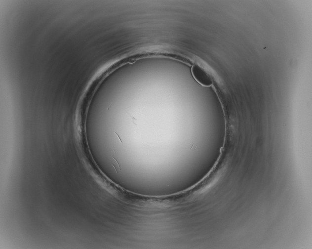 X0000112760981200908201030