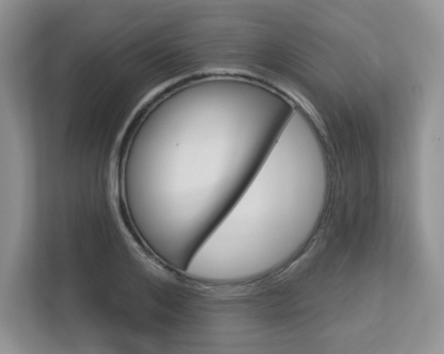 X0000112760984200908201030