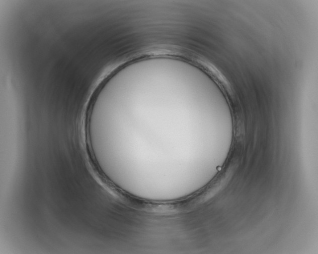 X0000112760986200908201030